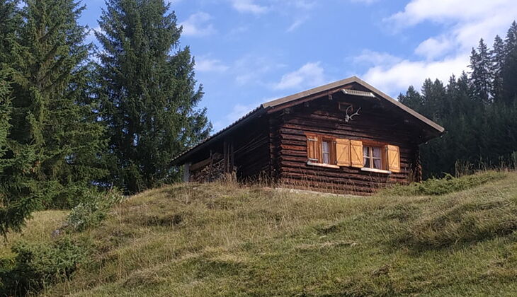 Bauernhaus mit Stall und Garten in Feldis