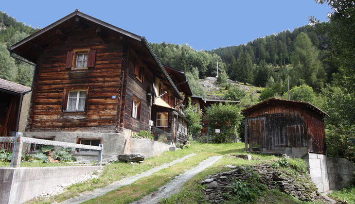 Bauernhaus mit Stall und Garten in Feldis